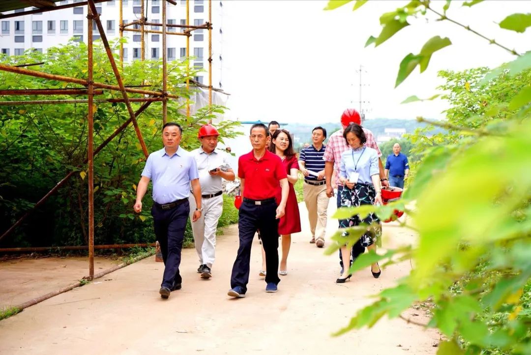 微信图片_20200529115754.jpg